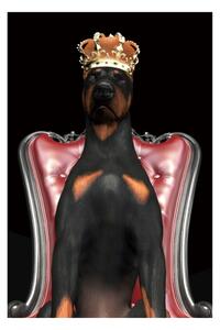 Obraz Dog in Crown 120 x 80 cm, vícebarevná