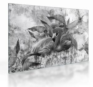 Skleněný obraz - Plameňáci graffiti (70x50 cm)
