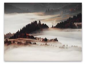 Obraz na plátně Styler Mist, 85 x 113 cm