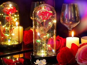 Věčná růže ve skle ALVA s LED osvětlením