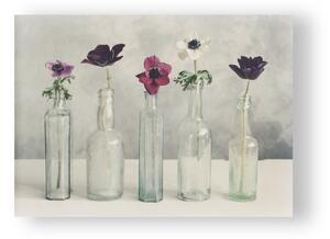 Obraz Graham & Brown Floral Row, 70 x 50 cm