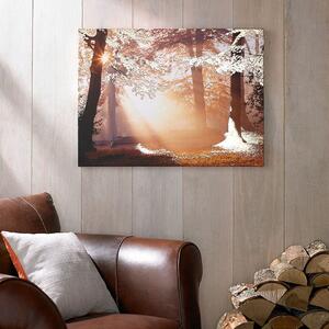 Obraz Graham & Brown Metallic Forest, 80 x 60 cm