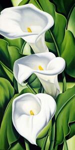 Abel, Catherine - Obrazová reprodukce Lilies, 2002, (20 x 40 cm)