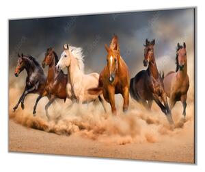 Ochranná deska stádo koní v prachu - 50x70cm / Bez lepení na zeď