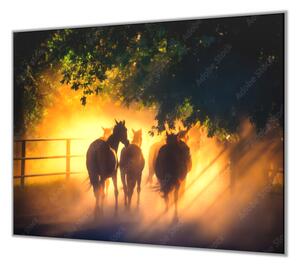 Ochranná deska silueta koní v západu slunce - 40x60cm / Bez lepení na zeď