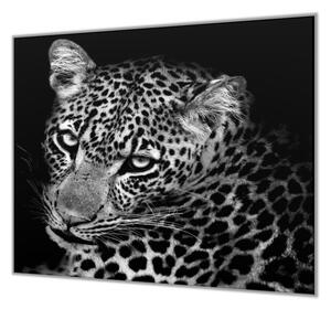 Ochranná deska šelma leopard v černé a bílé - 50x70cm / S lepením na zeď