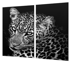 Ochranná deska šelma leopard v černé a bílé - 52x60cm / S lepením na zeď