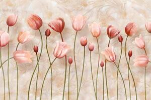 Tapeta starorůžové tulipány
