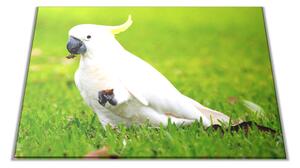 Skleněné prkénko s motivem papoušek kakadu - 30x20cm