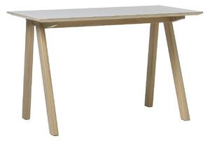 Designový psací stůl Jaxen 120 x 60 cm