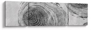 Obraz - Motiv stromu (170x50 cm)