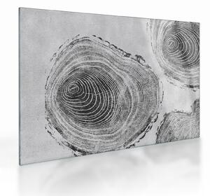 Skleněný obraz - Motiv stromu (70x50 cm)
