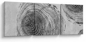 Obraz - Motiv stromu (s hodinami) (90x30 cm)