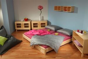 Dřevěná postel Konny 2 x 90