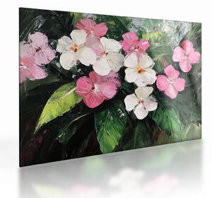 Skleněný obraz - Růžové a bílé květy (70x50 cm)