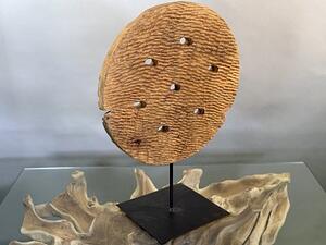 Skulptura Teak Disk 70 cm