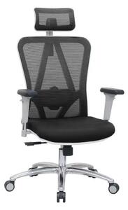 Kancelářská židle ERGODO BEJA Barva: šedá