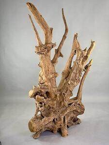 Rozvětvená přírodní skulptura z naplaveného teakového kořene – výška 168 cm