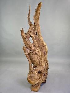 Rozvětvená přírodní skulptura z naplaveného teakového kořene – výška 168 cm