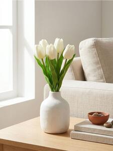 Sinsay - Okrasná rostlina – tulipány - krémová
