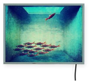 Světelná nástěnná dekorace Surdic Free Fish, 40 x 30 cm