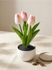 Sinsay - Dekorativní tulipány v květináči - růžová