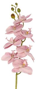 Villa Collection Umělá dekorace Styles Orchidej 102 cm Rose