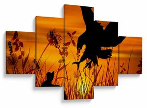 Obraz siluety dravce (125x70 cm)