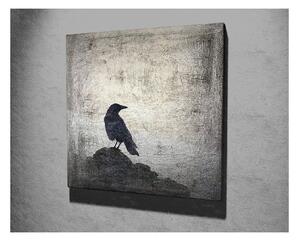 Nástěnný obraz na plátně Black Bird, 45 x 45 cm