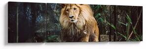 Obraz lva v přírodě (170x50 cm)