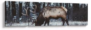 Obraz - jelen v zimě (170x50 cm)