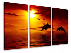OBRAZ TRYPTYK DELFÍNI TRILOGIE 75x40