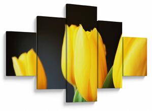 Obraz tulipánů (125x70 cm)