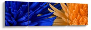 Detailní obraz květů (170x50 cm)