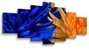 Detailní obraz květů (210x100 cm)