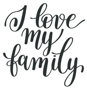 Samolepka I love my family