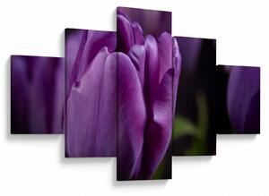 Obraz květů tulipánů (125x70 cm)
