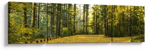 Obraz - les na podzim (170x50 cm)
