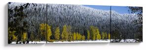 Obraz - zasněžené hory v zimě (170x50 cm)