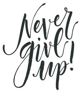 Samolepka Never give up