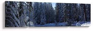 Obraz zasněženého lesa (170x50 cm)