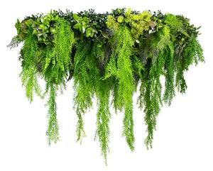 Ceiling of artificial Violet Pinch 100cm