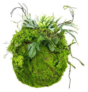 Decorative Moss Ball 25 cm