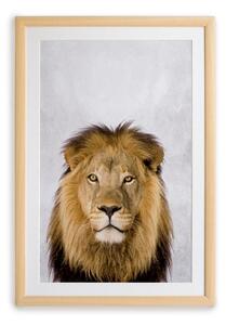 Nástěnný obraz v rámu Surdic Lion, 30 x 40 cm