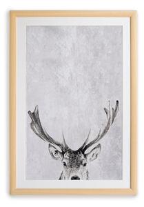 Nástěnný obraz v rámu Surdic Deer, 35 x 45 cm