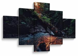 Obraz horské říčky (125x70 cm)