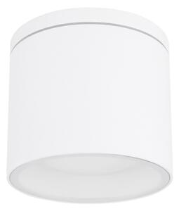 Globo 32063W - Venkovní stropní svítidlo ALCALA 1xGX53/11W/230V IP44
