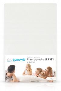 Prostěradlo s gumičkou FDM bavlna 160 x 200 cm