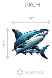 Žralok arch 45 x 35 cm