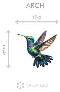 Barevný kolibřík arch 45 x 42 cm